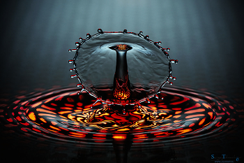 drop / ***