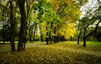 Autumn in the city / ***