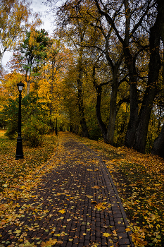 Loshitsa Park / ***