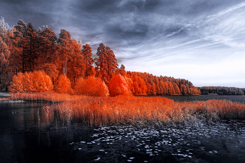 Herbstwind / ***