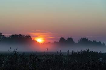 Cool Morgen / ...