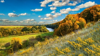 gold autumn / ***