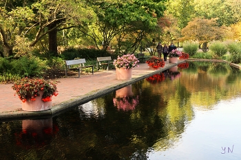 Planten un Blomen Hamburg / ***