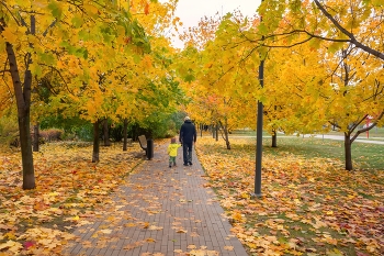 Autumn sketches / ***