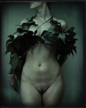 Flora / ***