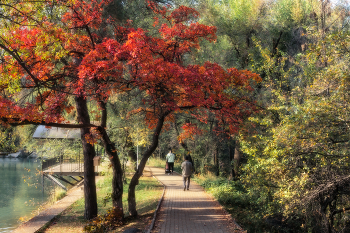 Herbstfarben ... / ***