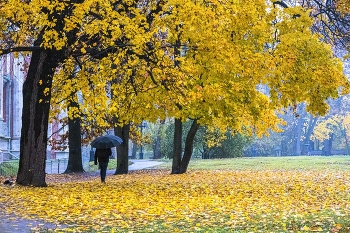 im Park / ***
