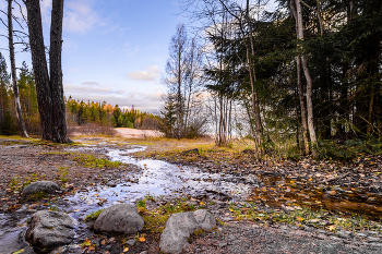 Paints Oktober. / ***