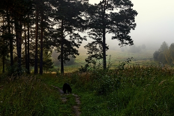 Morgendämmerung / ***