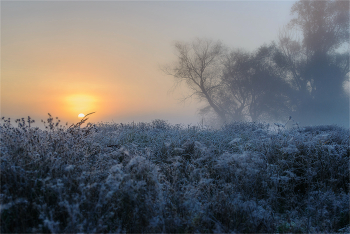 The first frosts / ***