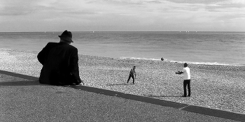 The Observer / ***