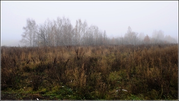 Foggy morning / ***