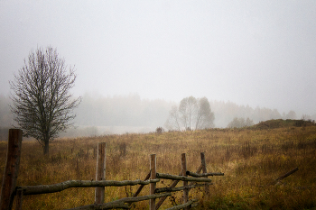 Die Oktober-Studie / ***