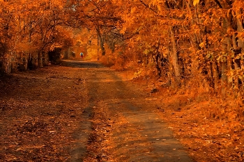 Herbst / ...