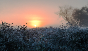 Light breath of winter / ***