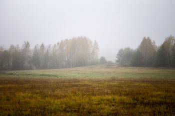 there behind fogs / ***