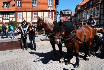Wernigerode / ***