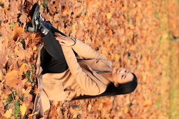 In the old park / ***