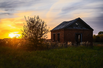 Field / ***