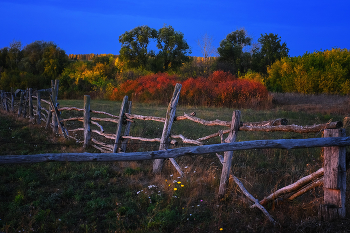 About autumn ... / ***