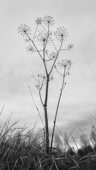 Life around / ***