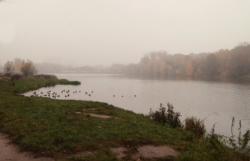 Misty / ***