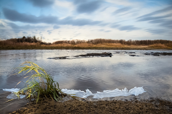 By the river / ***