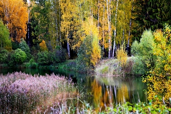 Autumn / ***