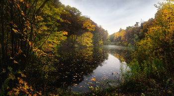 Autumn Pond / ***
