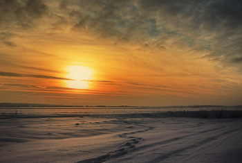 Winter / ***