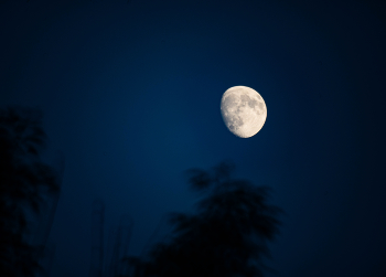 May Night / ***