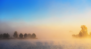 Misty / ***