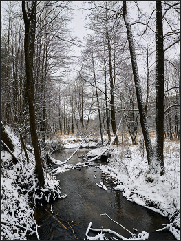 River tributary / ***