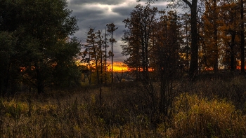 Sunset / ***
