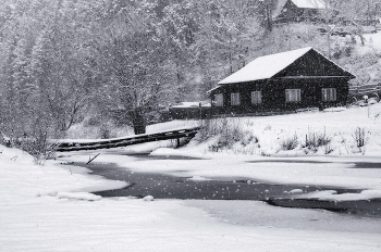 Winter / ***
