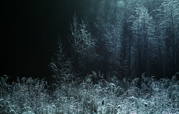 Licht in der Nacht / ***