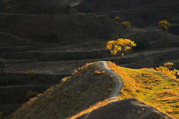 On the edge / ***