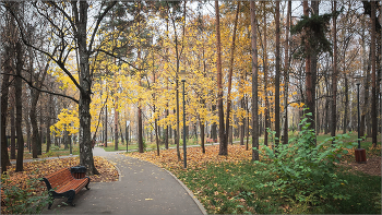 In the fall the park ... / ***