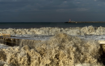 Black Sea / ...