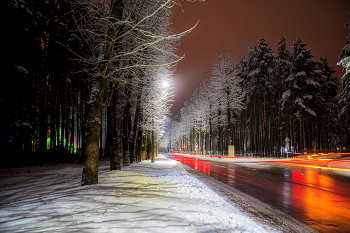 Road / ***