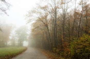 Herbst in der Stadt / ...