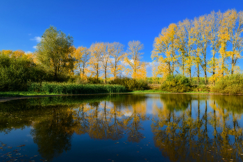 About autumn ... / ***