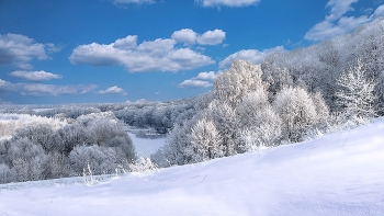 Rime. / ***
