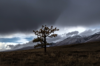 Autumn rain / ***