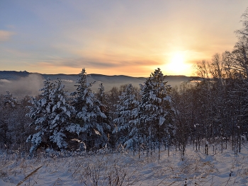 Zimushka - Winter / ***