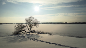 Winter landscape / ***