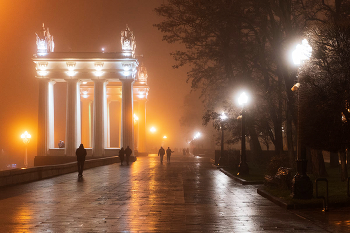 Evening fog / ***