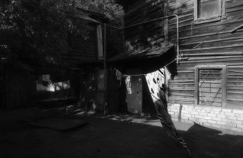 in the yard / ***