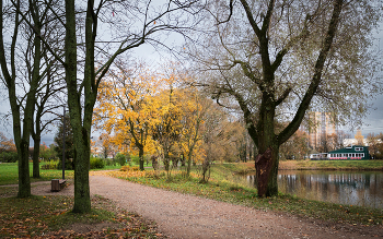 In the fall the park ... / ***