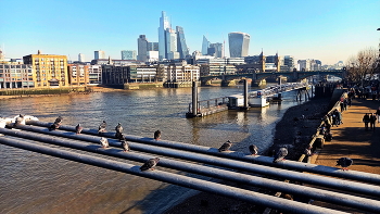 Thames / ***